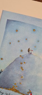 the-lady-who-collects-falling-stars