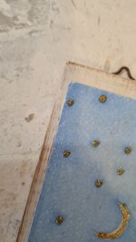 tavoletta-lomino-che-raccoglie-le-stelle-cadenti