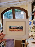 casolare-con-papaveri