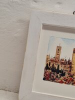 panorama-con-papaveri