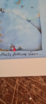 the-lady-who-collects-falling-stars