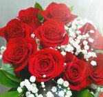 rose