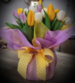 bouquet-tulipani-grande