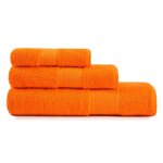 set-spugna-1-1-medio-ospite-tinta-unita-bassetti