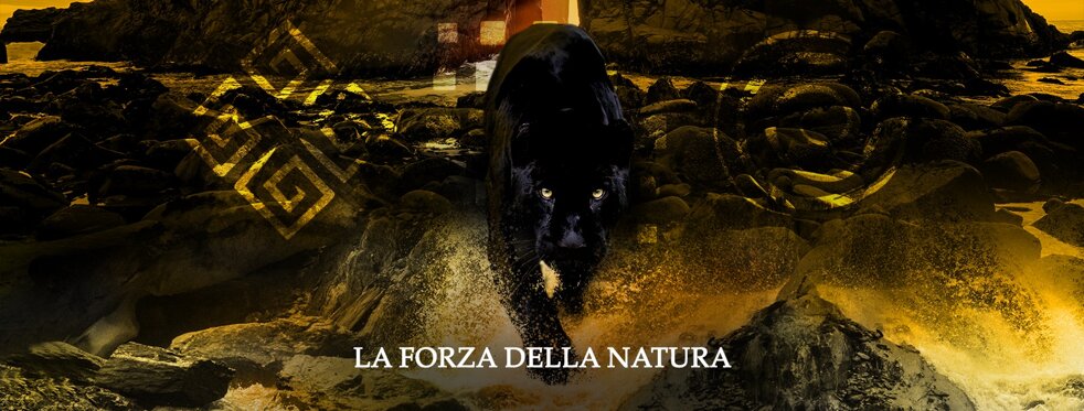 ce72bdd5-aa28-45a0-8a59-a87709b80699