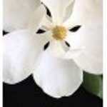 yodeyma-candy-100-ml