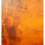 yodeyma-the-niche-collection-valia-edp-15ml-50ml-100ml