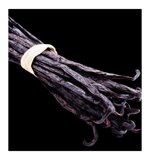 yodeyma-atrapame-15ml-50ml-100ml