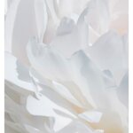 yodeyma-the-niche-collection-valia-edp-15ml-50ml-100ml