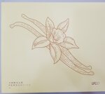 coffret-lpdo-vanille-persuasive-100ml-edpi-30ml-edpi