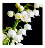 yodeyma-avec-toi-15ml-100-ml