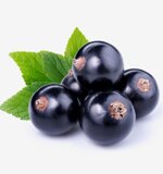 yodeyma-atrapame-15ml-50ml-100ml