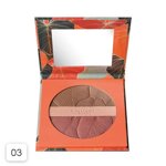 deborah-terra-blush-illuminante-3-in-1