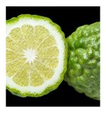 yodeyma-agua-de-yodeyma-eau-de-toilette-100ml