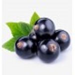 yodeyma-celebrity-woman-15-ml-50-ml-100-ml