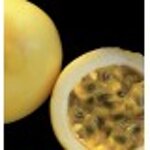 yodeyma-first-100-ml