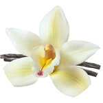 geomar-fruity-sugar-scrub-corpo-fico-e-vaniglia-300g