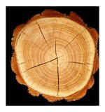 yodeyma-acqua-woman-eau-de-parfum-15ml-100-ml