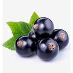 yodeyma-adriana-eau-de-parfum-15ml-50ml-100ml