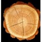 yodeyma-dela-15-ml-100-ml