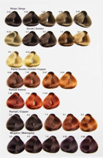 wild-hair-pro-color-cream-tinta-per-capelli-43030-black-friday-300