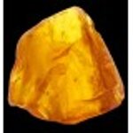 yodeyma-bella-100-ml