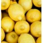 yodeyma-freschia-100-ml