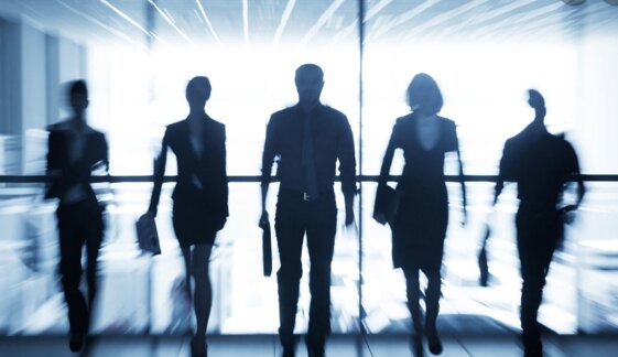 d77b9f56-9e18-4894-8eed-f074771512dd