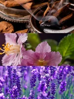 yodeyma-the-niche-collection-oud-gem-eau-de-parfum-100ml