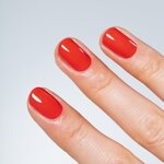 mesauda-top-nothc-punch-smalto-prodigy-classico-a-lunga-durata-14ml