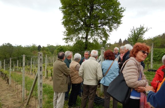 bc3536d7-c632-4afe-9d60-64f4ebffb2d8