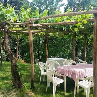 Spuntino sotto il Pergolato