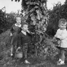 Anna, Gian e Francesco