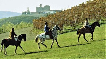 064584e0-f2ad-4ab0-bb94-e576aa587493 064584e0-f2ad-4ab0-bb94-e576aa587493