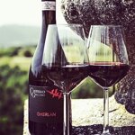 gherlan-ovada-docg-riserva