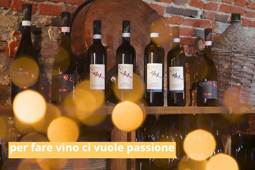 8ac7bfe9-4f76-4523-a9c0-2648de6370ea