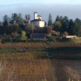 88f8aac2-ed40-4414-acc3-a268d41ee337 88f8aac2-ed40-4414-acc3-a268d41ee337