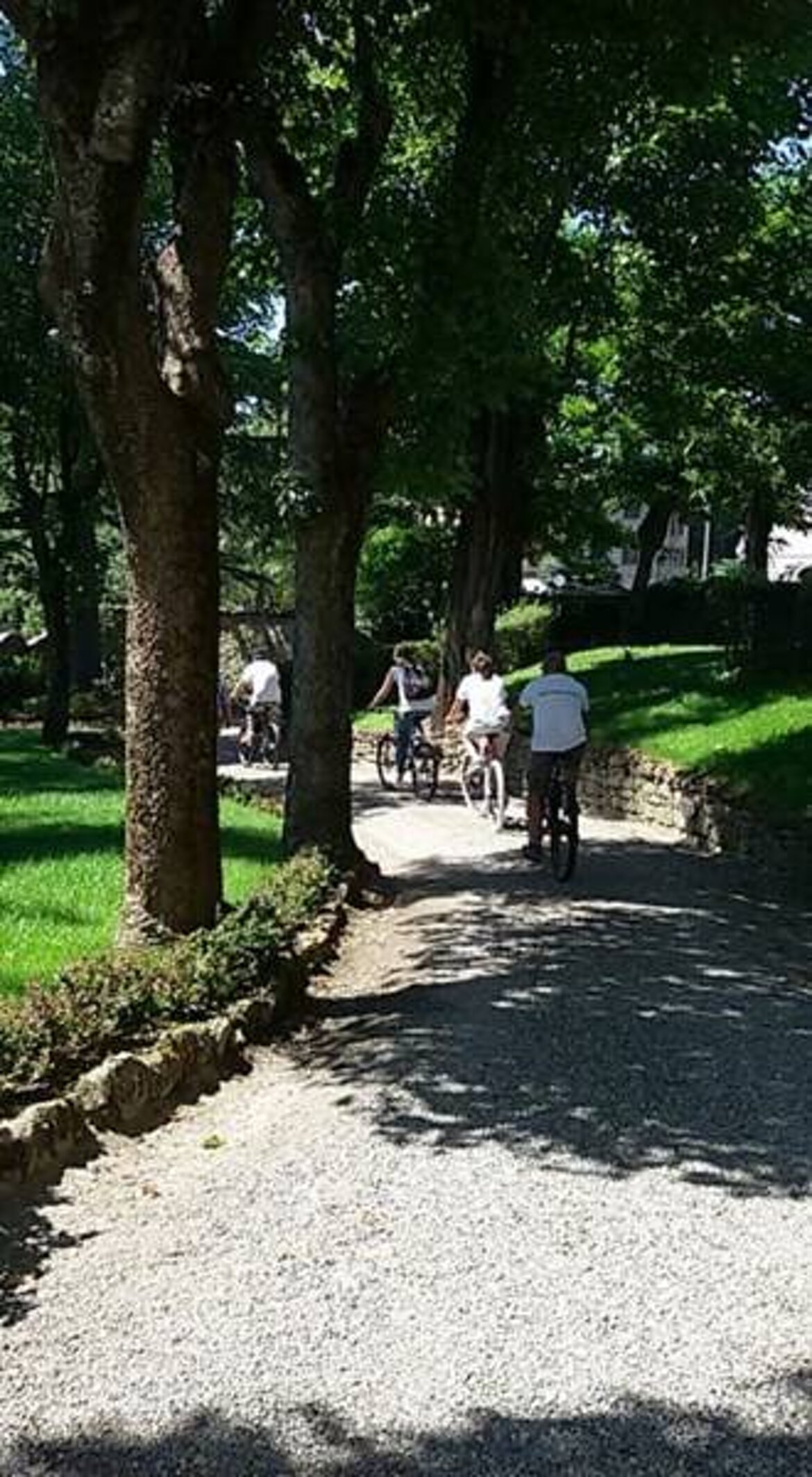 Partenza per una Escursione in bicicletta