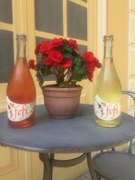 fefi-bianco-vino-frizzante-col-fondo-metodo-ancestrale