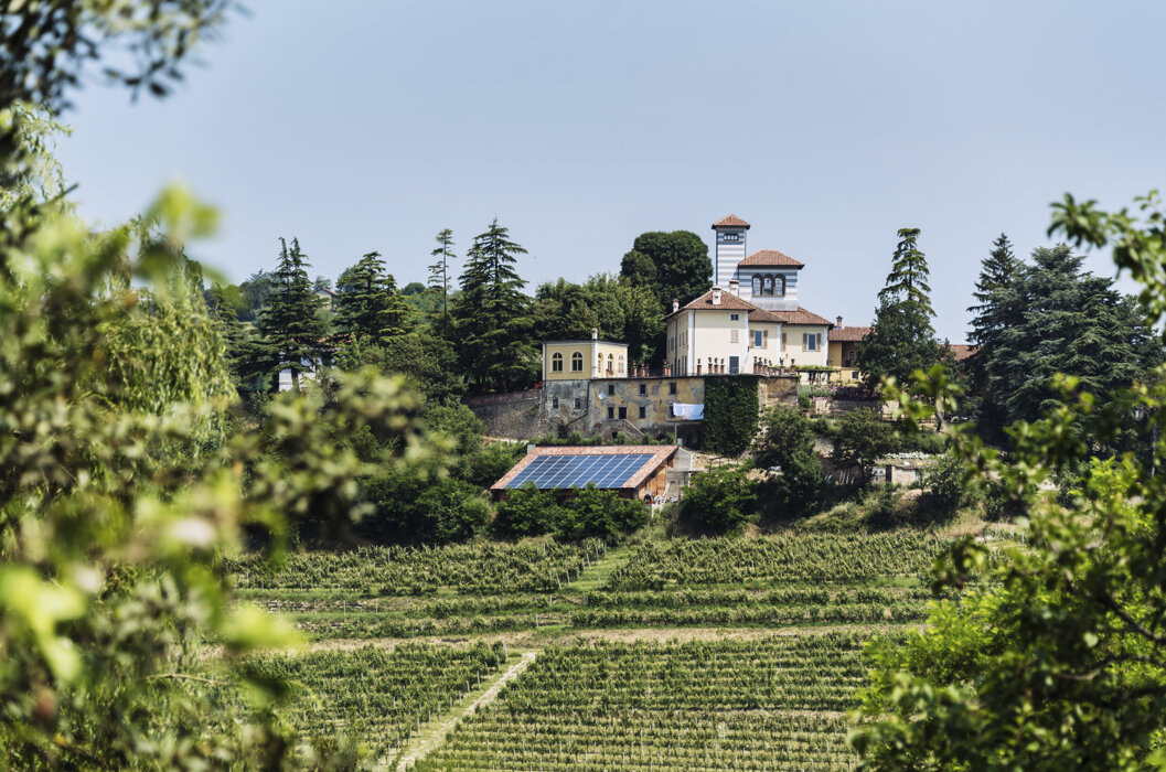 d79823ac-3306-45e9-a1d2-d283d921bc9f d79823ac-3306-45e9-a1d2-d283d921bc9f