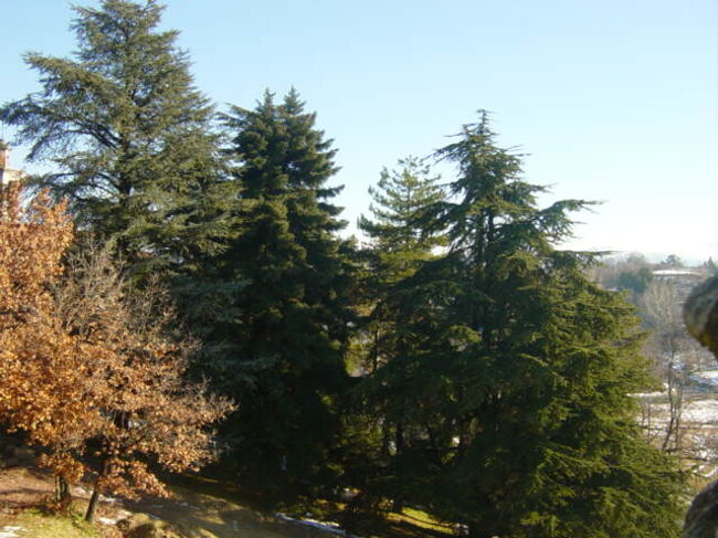 d85503fc-0ee6-4525-ae71-1f9fa49b4a26