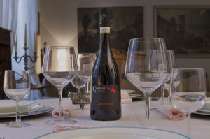 tourgna-barbera-del-monferrato-superiore-docg