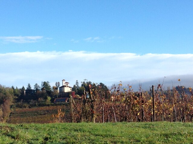 9e09df62-582b-476a-8035-56478a5f4c8a 9e09df62-582b-476a-8035-56478a5f4c8a