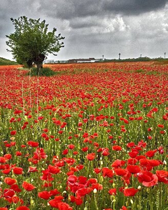 957e68ea-90a7-4788-8659-dc2d2ee69fdf