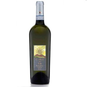 vino-falanghina-doc-sannio-colline-del-sole-075-lt