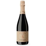 spumante-franciacorta-docg-riserva-2016-testanera-brut-centinari-075-lt-ast