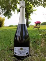 chateau-fourton-la-garenne-spumante-cuvee-les-bulles-biodinamico-2020-vin-de-france