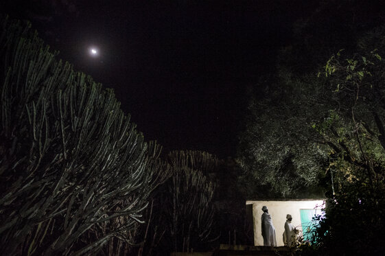 08 - _dsc0319.jpeg