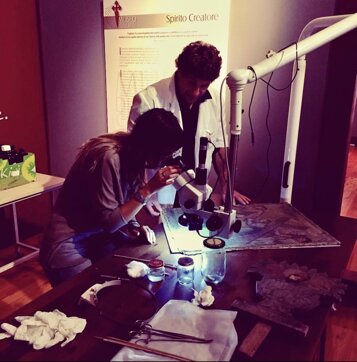 c391fea6-d328-45ee-948d-de62a06e141e