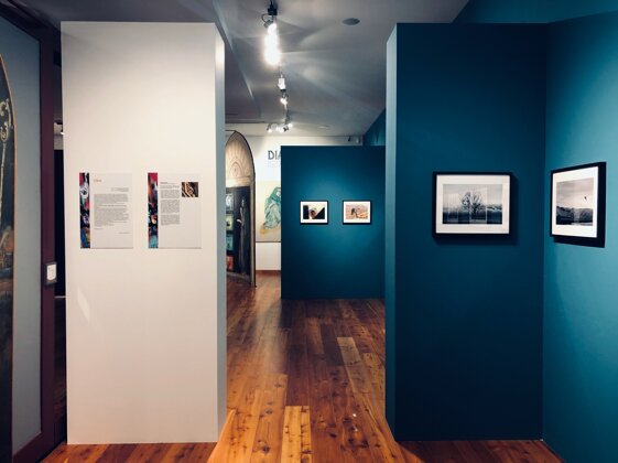 5f3f7182-1239-4259-b4c4-471dbd4f6790